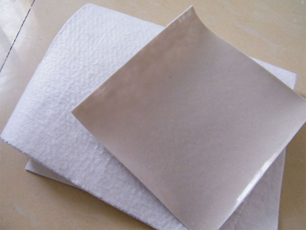 c(din)鿴Ԕ(x)Ϣ(bio)}(f)Ĥ xΔ(sh)5547